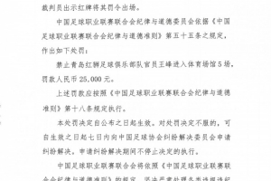 官方:青岛红狮领队对裁判员使用侮辱性语言,禁赛5场罚款2.5万